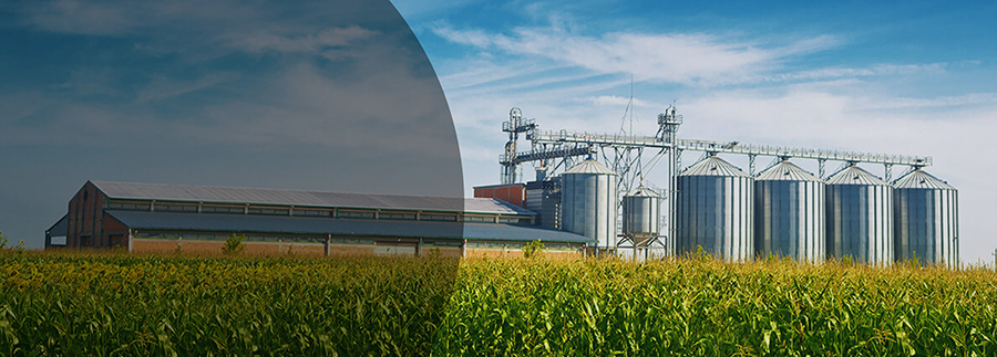 Banner Red Conecta de Agroindustria
